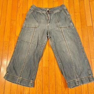 Pilcro And The LetterPress Wide Leg Crop Jeans Size 29- EUC